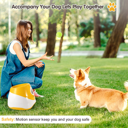 Automatic Pet Ball Launcher